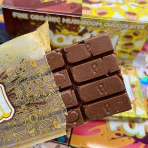 PORTAL 6G MUSHROOM CHOCOLATE BARS