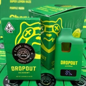 DROPOUT ACADEMY 3G DISPOSABLE