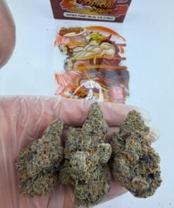 kens tropical punch cannabis