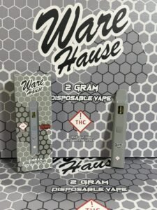 WAVE HAUSE 2G DISPOSABLE